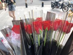 -武汉花鸟市场