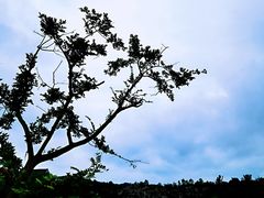 -常德桃花源景区