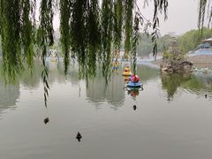 -团结湖公园