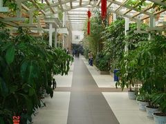 走廊很宽敞-绿色时代大酒店