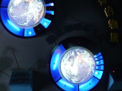 -金钉子远古世界景区
