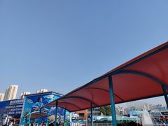-海合安武汉极地海洋公园