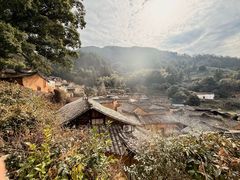 -杨家堂村