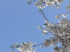 -七宝老街-闵行市民文化广场