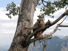 -重庆云阳龙缸景区