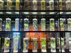 -广东中医药博物馆