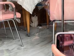 -惠州金海湾嘉华度假酒店