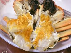 -黄记大闸蟹专卖店·活蟹·醉蟹