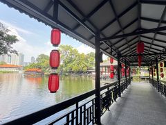 -侨美·唐荔园·40年地道粤菜