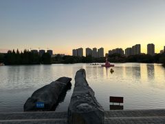 -青枫公园