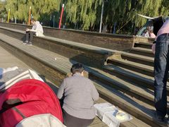 -长白岛森林公园