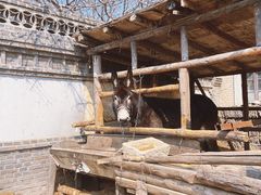 -清风小镇闯关东影视基地