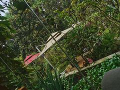-谷咖啡·鲜花绿植花园餐厅
