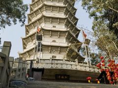 -深圳国际园林花卉博览园