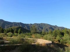 -白水寺森林公园