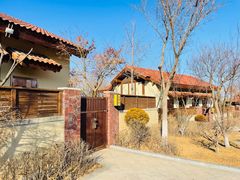 -大连金石滩绿发温泉假日酒店