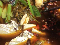 特色招牌红油耗儿鱼-川道拐耗儿鱼(置信路店)