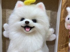-崇光百货(铜锣湾店)