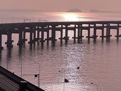 -星海湾跨海大桥