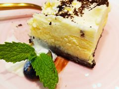 -飞行喵MR PILOT|猫舍·猫咖(静安大融城店)