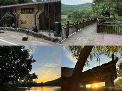 -梧桐庄园