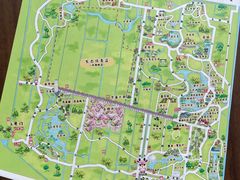 -东平国家森林公园