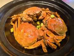 -海市焗·现焗海鲜·老广风味(上海首店)