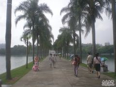 -南宁南湖公园
