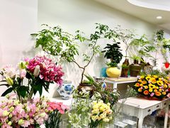 -溪岸路花鸟市场