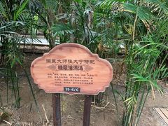 -龙达温泉生态城