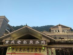 -老幺泉水鸡