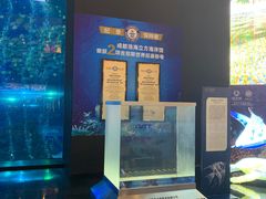 -成都浩海立方海洋公园