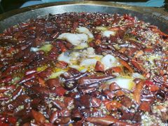 -雲蜀龙阁·金牌水煮鱼(方庄店)