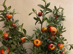 -疆里疆外·和田烤肉·清真