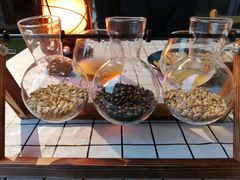 -不误正夜精酿啤酒馆(新华公园店)