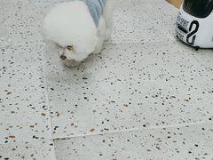 -瑞派康怡24h宠物医院·犬猫医疗中心·微创绝育(瑞景分院)