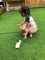 -萌宠亲子动物乐园(槐房万达店)