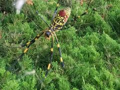 -毓聪妈妈菜(合肥路店)