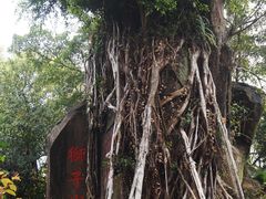 -乌山风景区