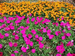 -艾溪湖湿地公园