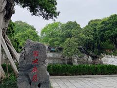 -柳侯公园