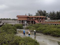 -北海金海湾红树林生态旅游区