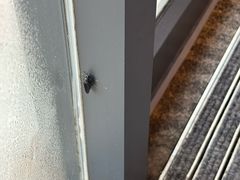 -瑞幸咖啡(皇岗村广场中庭店)