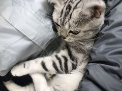 -康乐宝动物医院