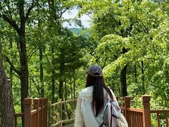 -洛阳白云山景区