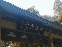 -柳浪闻莺公园