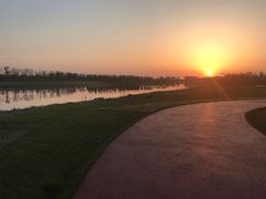 -春花秋色城市公园