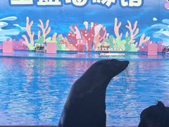 -北戴河圣蓝海洋公园