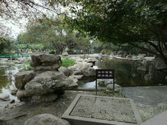 -神仙树公园