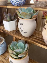 点击看大图 -BR光电保养